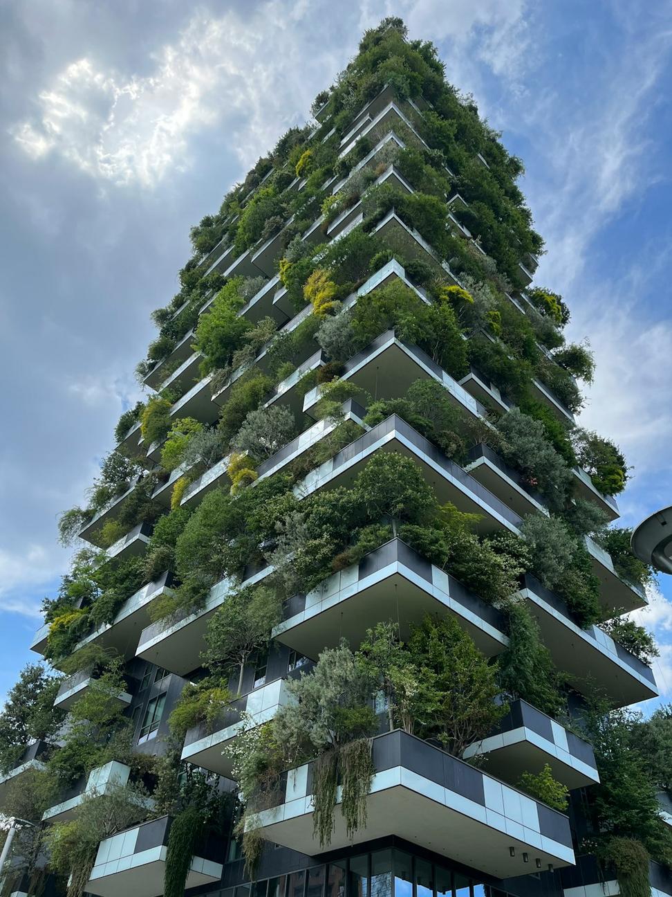 Sustainable design consulting