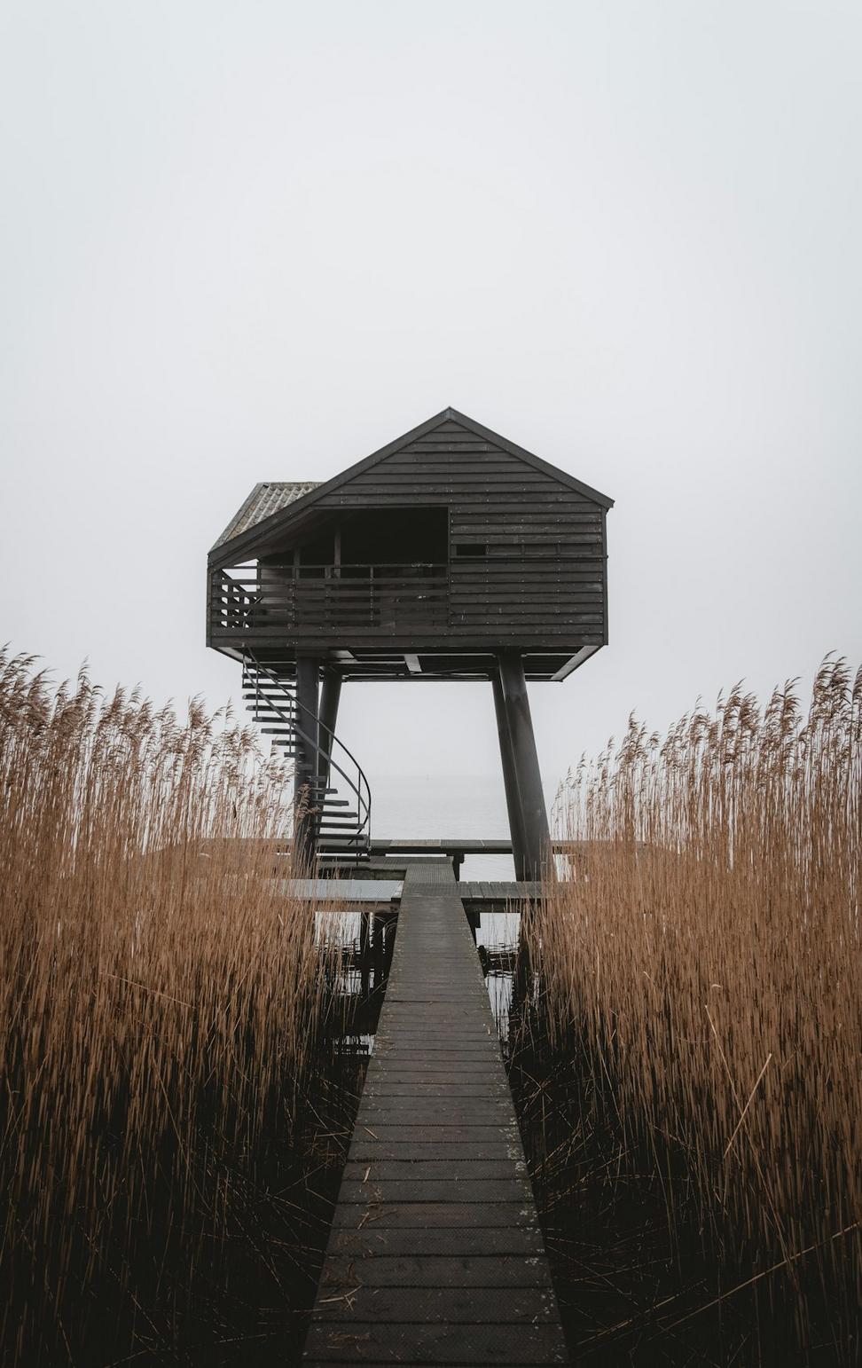 Whistler Cabin